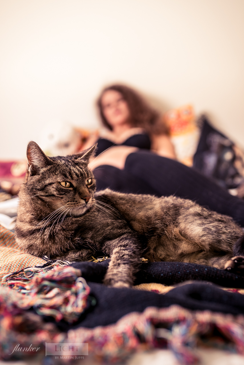 boudoir lingerie girl in background of cat portrait